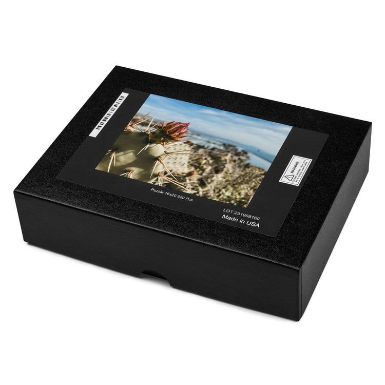 Jigsaw puzzle
