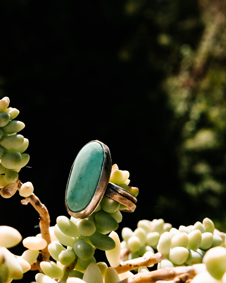 The Sydney Ring