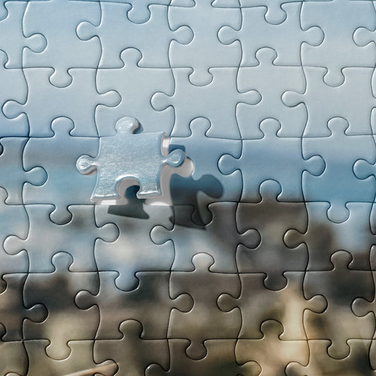 Jigsaw puzzle